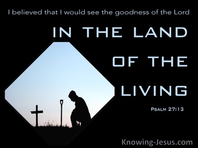 Psalm 27:13 The Goodness Of God  In The Land Of The Living (black)